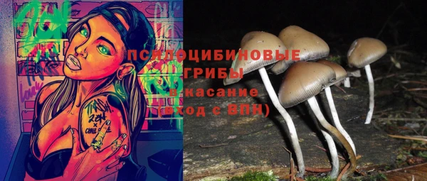 мдпв Армянск